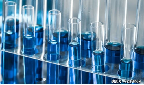 生物制品CDMO服務商鼎康生物完成超1.9億美元A輪融資，加速產(chǎn)業(yè)布局